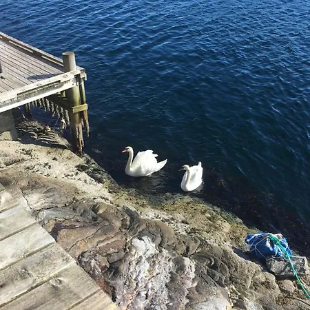 Bergen/sotra:waterfront *